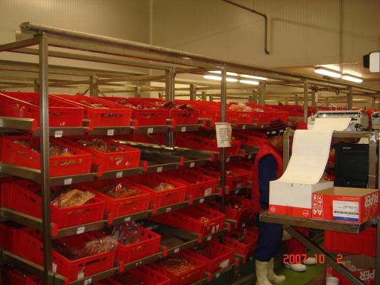 Meat processing factory 15