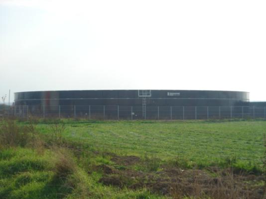 Swine breeding farm (10.000 pigs) 13