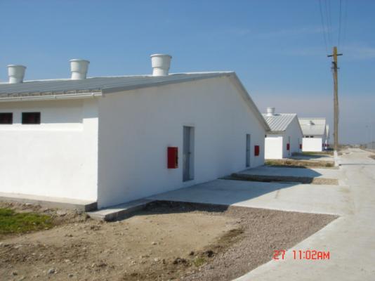 Swine breeding farm (10.000 pigs) 4