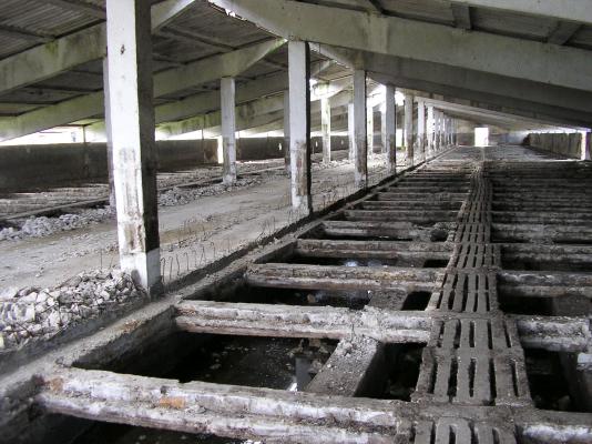 Swine breeding farm (10.000 pigs) 5