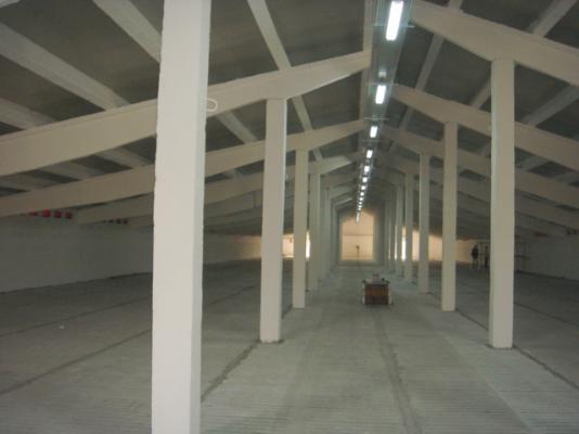 Swine breeding farm (10.000 pigs) 6