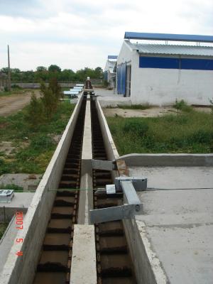 Fermă vaci cu lapte 13
