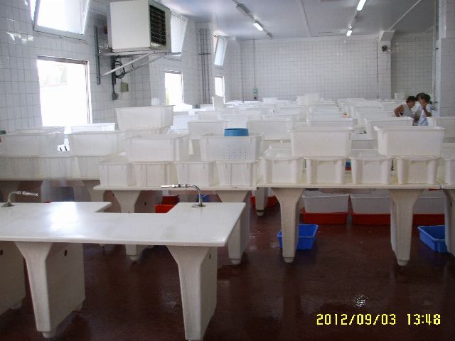 Natural casings plant modernisation 5