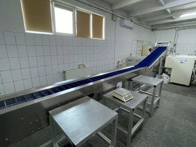 Extinderea capacității de producție de paste făinoase și sărățele 6