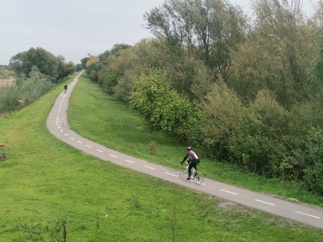 Pistă de biciclete Timișoara – Zrenianin 2