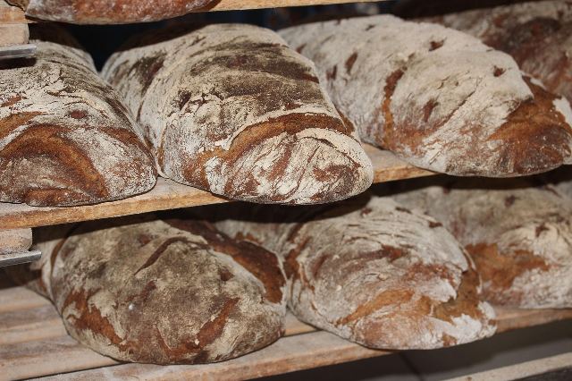 Smart Bakery: optimizarea proceselor interne prin echipamente digitale